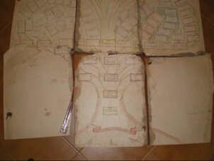 Descripción de la imagen