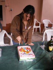 Descripción de la imagen