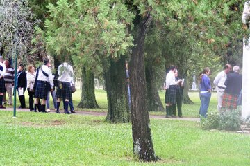 Descripción de la imagen