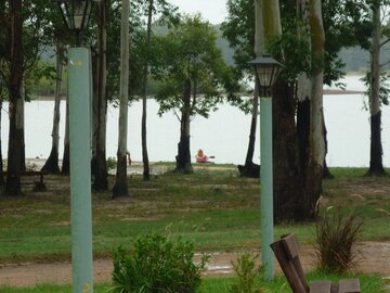 Descripción de la imagen