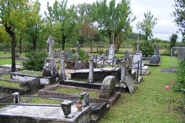 Descripción de la imagen